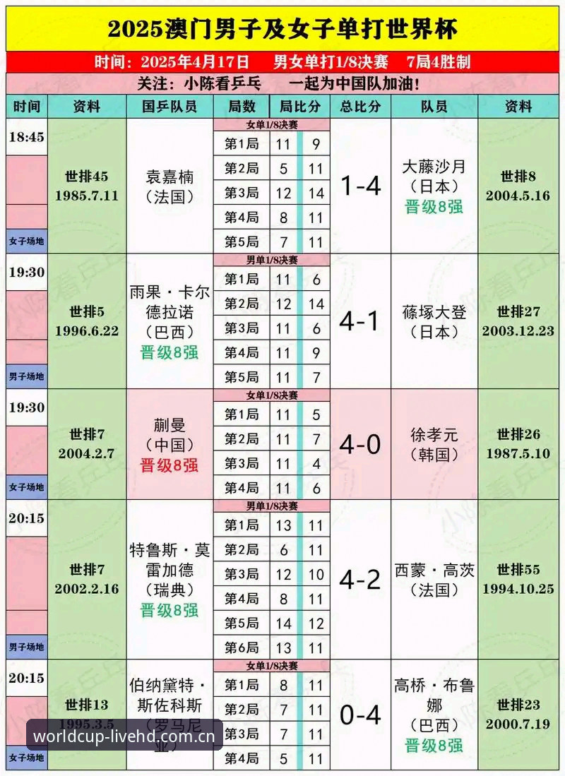 世界杯下注软件下载vs官网观赛：资深用户详解2025全新体验与选择建议